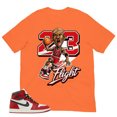 Graphic Tee 23 Flight Shirt - to Matching Air Jordan 1 Chicago Lost & Found | Zadago