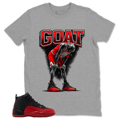 Graphic Tee to Match Air Jordan 12 Flu Game | Goat 23 Shirt | Zadago