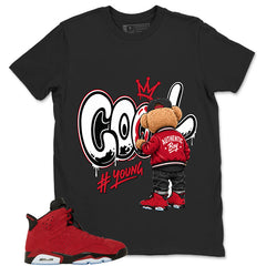 Graphic Tee to Match Air Jordan 6 Toro Bravo | Cool Boy Shirt | Zadago