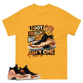I Got 99 Problems Graphic Tee, Shirt to Match Air Foamposite One Copper, Air Foamposite Unisex Black Shirt