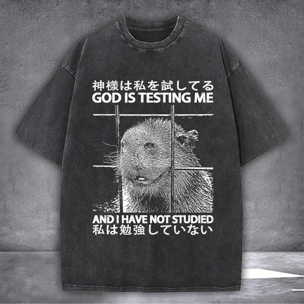 Capybara God Is Testing Me And I Haven't Studied T-Shirt Japanese Funny Gift For Fan Lovers - Zadago