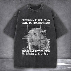 Capybara God Is Testing Me And I Haven't Studied T-Shirt Japanese Funny Gift For Fan Lovers - Zadago