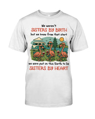 We Weren't Sisters By Birth But We Knew From That Start T-shirt Gift For Best Friends - Zadago