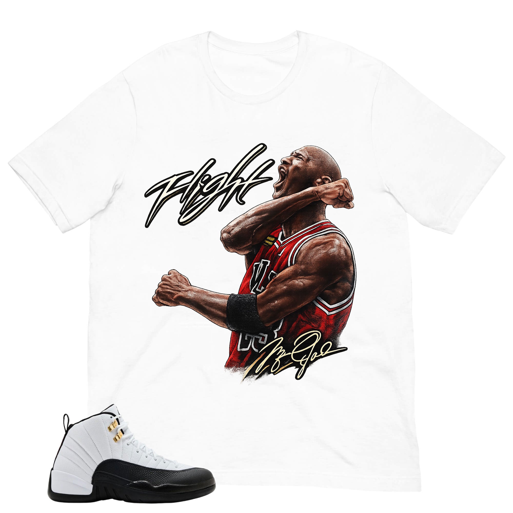 Flight Legend MJ Shirt - Match Air Jordan 12 'Taxi'