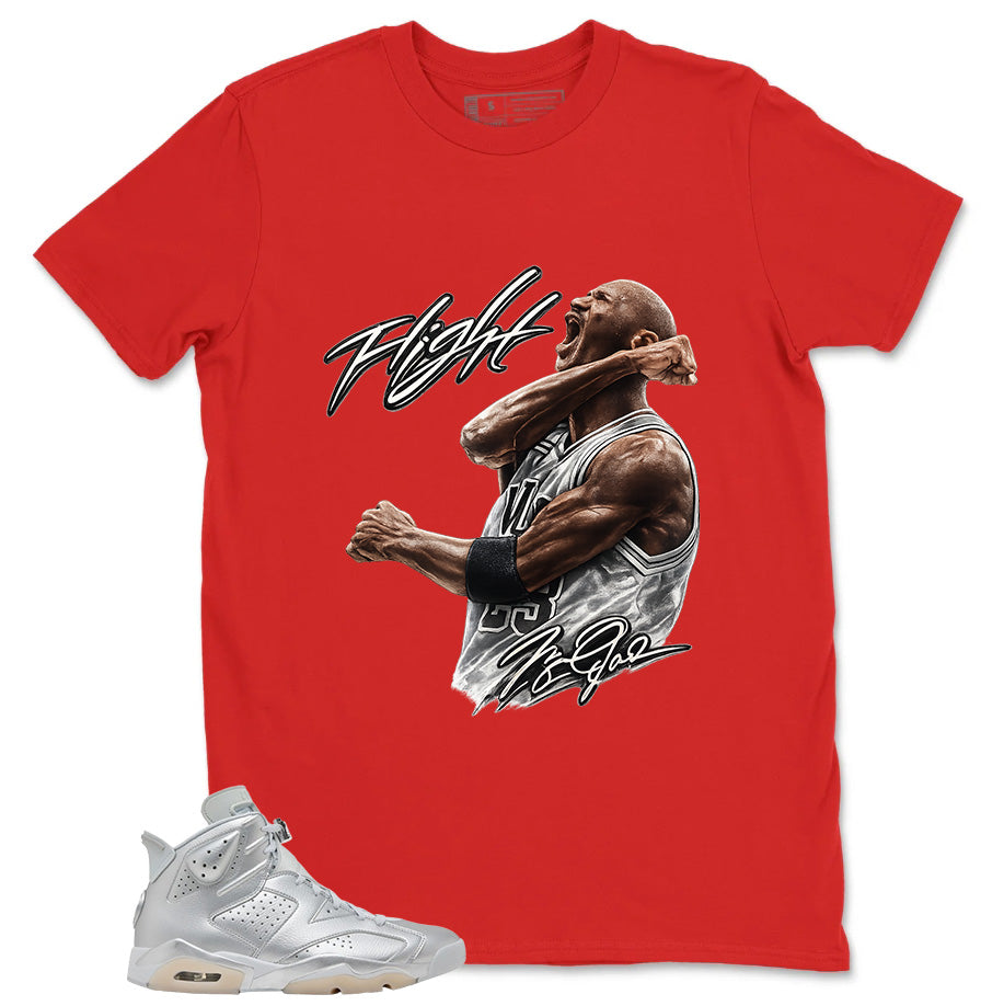Flight Legend Shirt - Match Air Jordan 6 x Paris Saint-Germain Metallic Silver