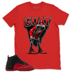 Graphic Tee to Match Air Jordan 12 Flu Game | Goat 23 Shirt | Zadago