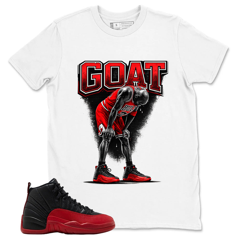Graphic Tee to Match Air Jordan 12 Flu Game | Goat 23 Shirt | Zadago