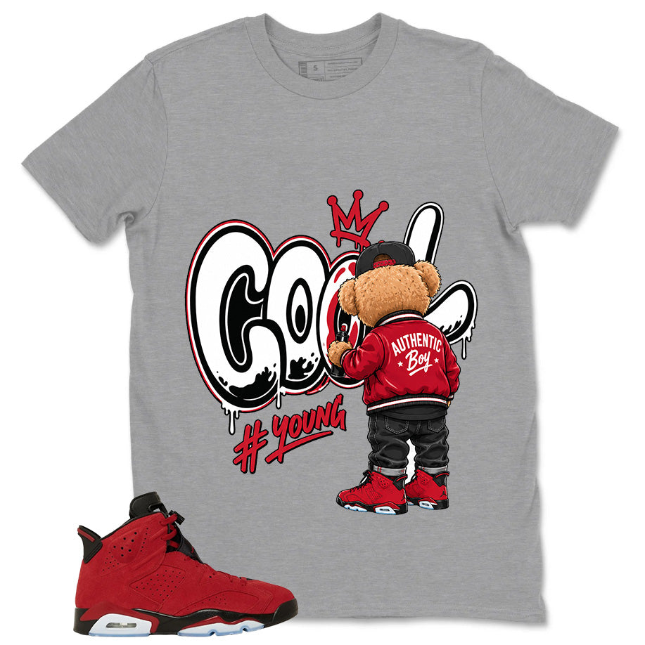 Graphic Tee to Match Air Jordan 6 Toro Bravo | Cool Boy Shirt | Zadago