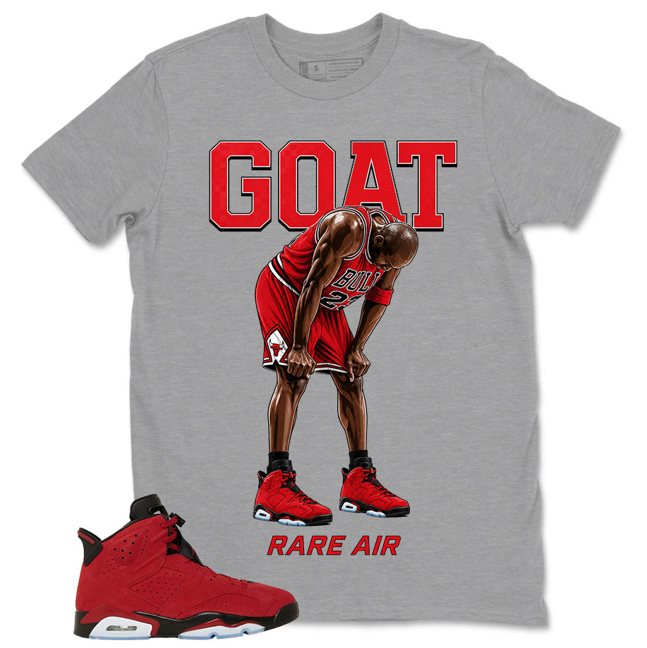 Graphic Tee to Match Air Jordan 6 Toro Bravo | Goat Rare Air Shirt | Zadago