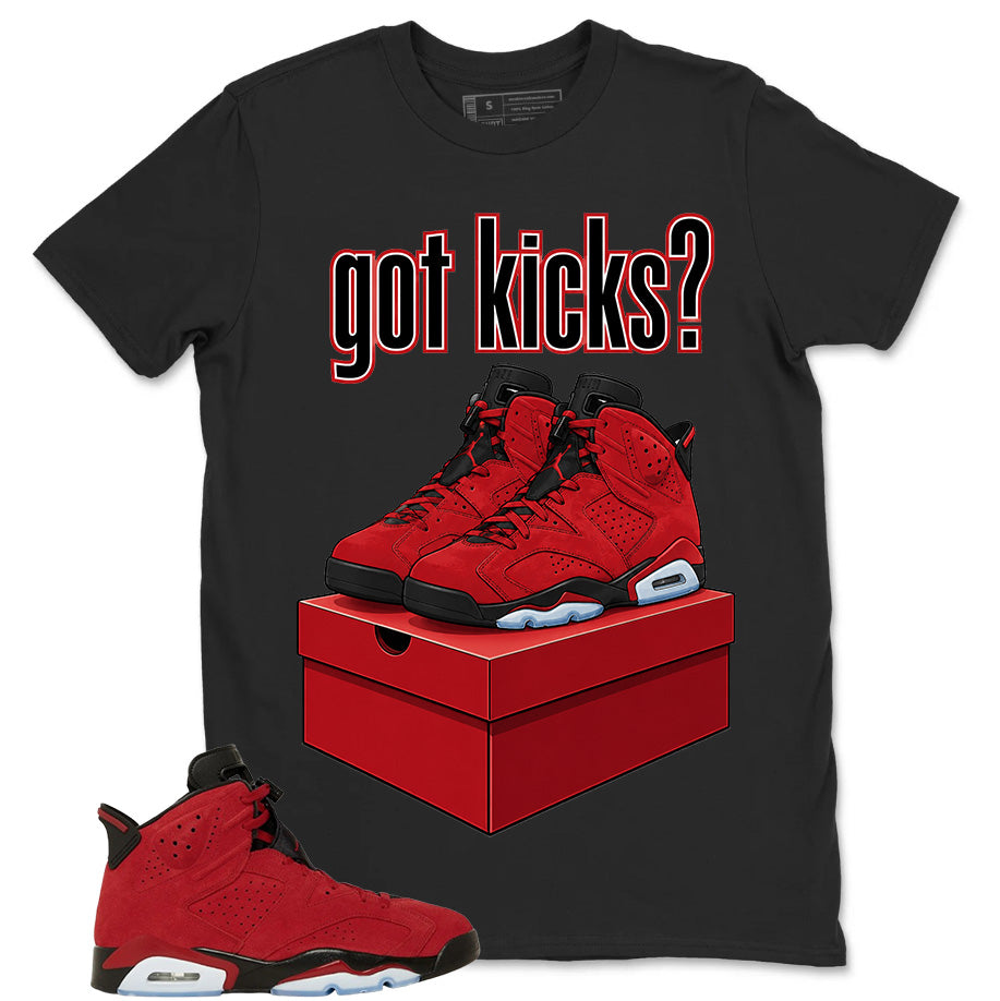 Graphic Tee to Match Air Jordan 6 Toro Bravo | Got Kicks Shirt | Zadago