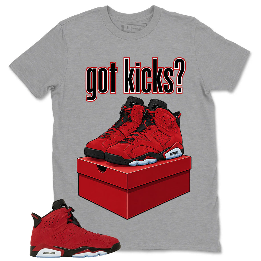 Graphic Tee to Match Air Jordan 6 Toro Bravo | Got Kicks Shirt | Zadago