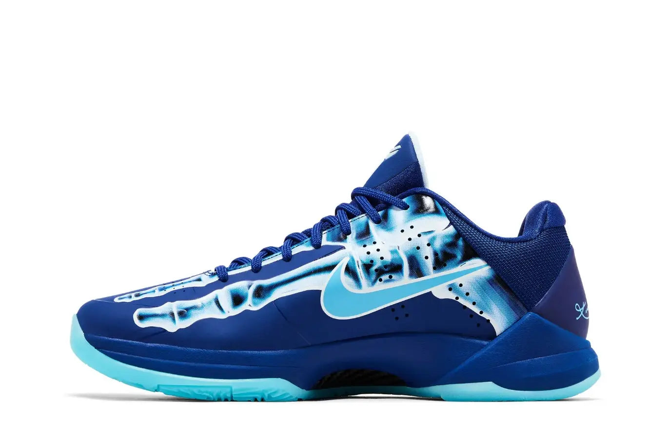 Deep Royal Blue Proto X-Ray 5 HJ4303-400