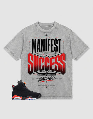 Washed T-shirt Manifest Success | Zadago