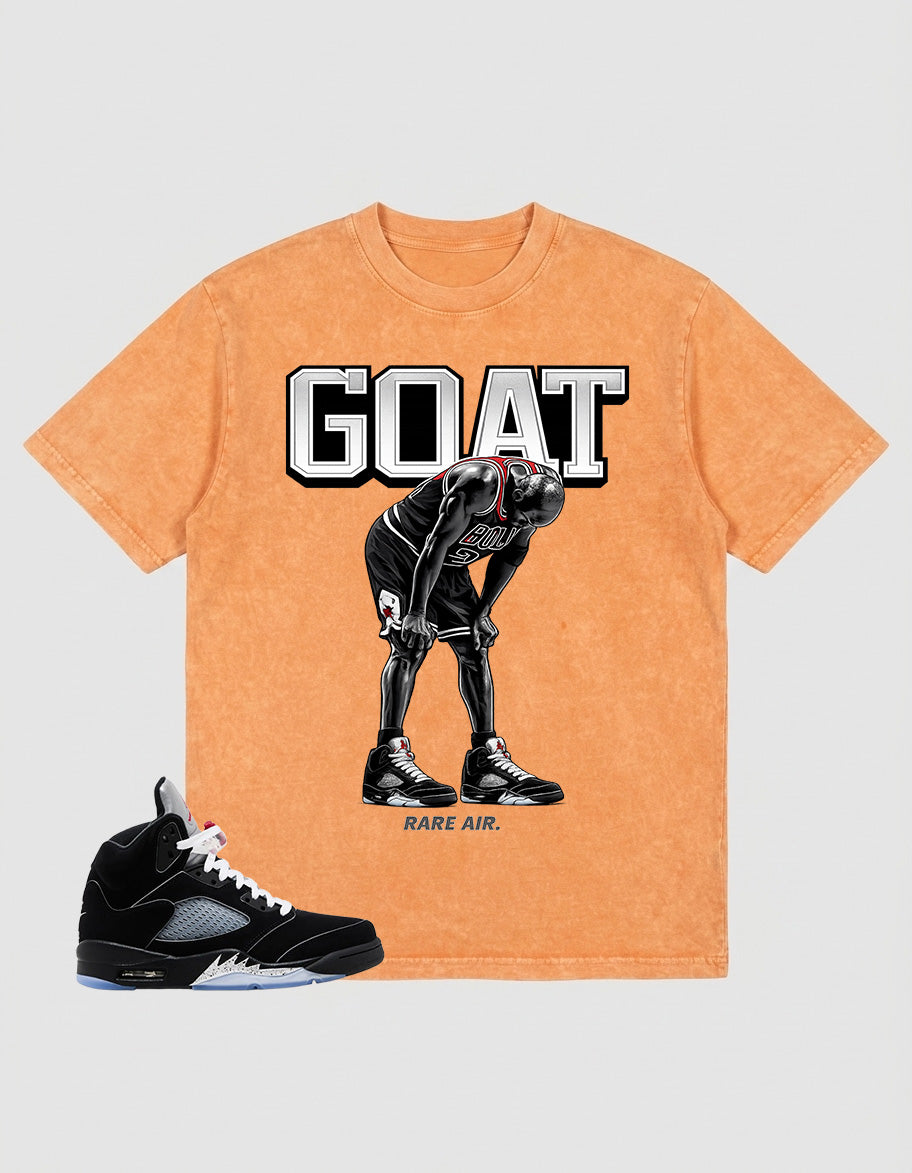 Washed T-shirt to Match Metallic Reimagined 5s - Goat Rare Air Graphic