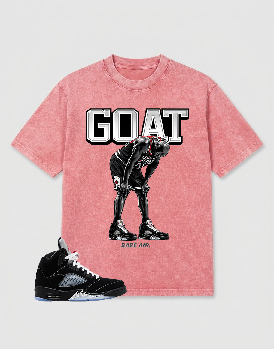 Washed T-shirt to Match Metallic Reimagined 5s - Goat Rare Air Graphic