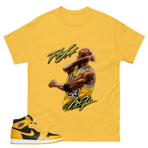 Yellow Pollen 1s Zadago Shirt Flight Victory MJ Graphic